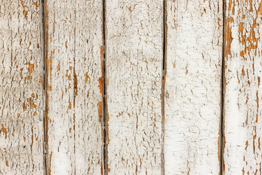 Similar image 11769241