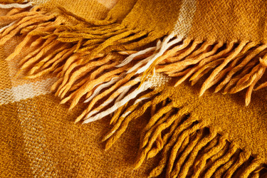 Similar image 11768509