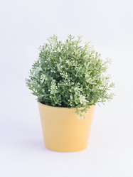 Similar image 11768290