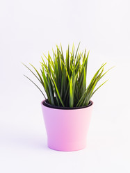 Similar image 11768291