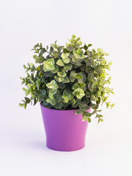 Similar image 11768292