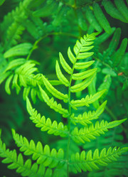 Similar image 11768312