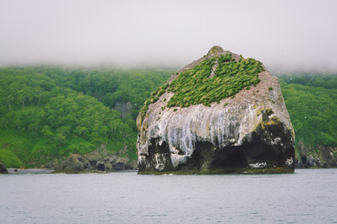 Similar image 11768314