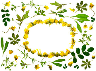 Similar image 11768274