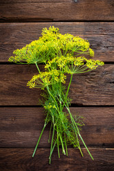 Similar image 11769183