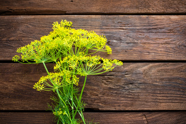 Similar image 11769185