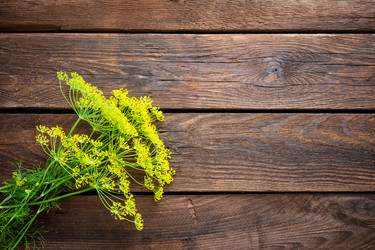 Similar image 11769186