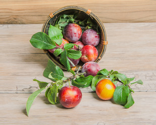 Similar image 11769167