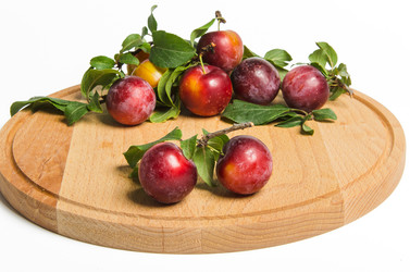 Similar image 11769169