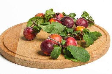 Similar image 11769170