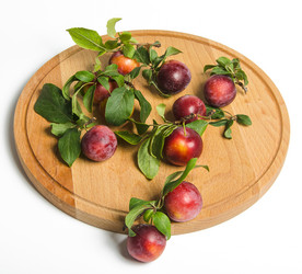 Similar image 11769172