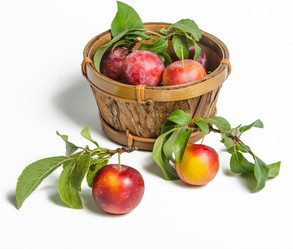 Similar image 11769173