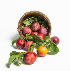 Similar image 11769174