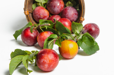 Similar image 11769175