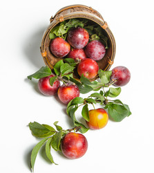 Similar image 11769176