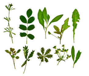 Similar image 11769129