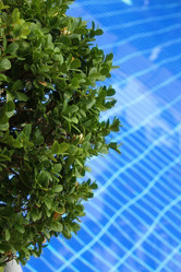 Similar image 11769488