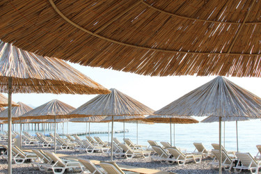 Similar image 11769493