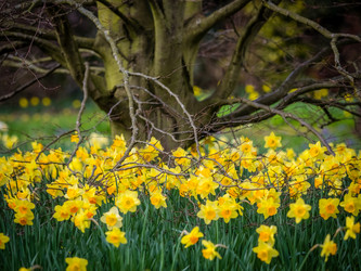 Similar image 11773884