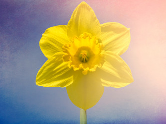 Similar image 11773860