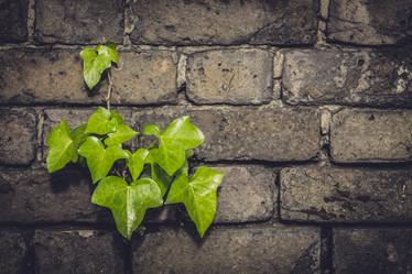 Similar image 11773888