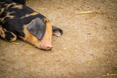 Similar image 11773890