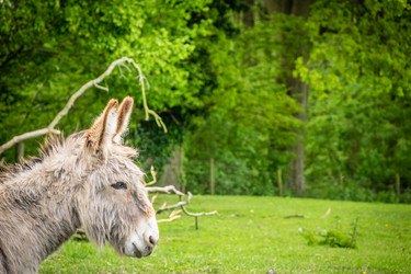 Similar image 11773892