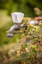 Similar image 11770474