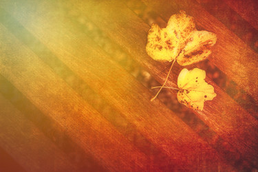 Similar image 11770477