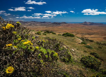 Similar image 11770405