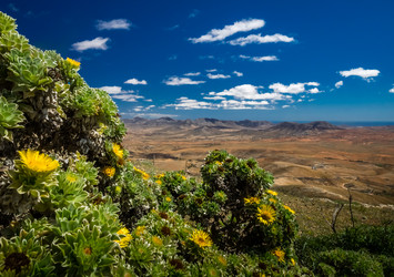 Similar image 11770406