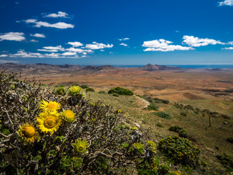 Similar image 11770407