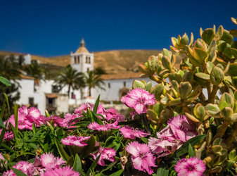 Similar image 11770427