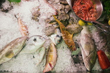 Similar image 11773791