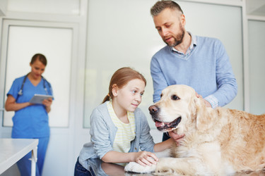 Similar image 11773808