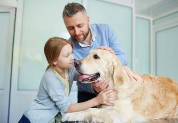 Similar image 11773811