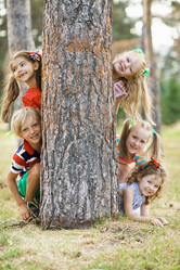 Similar image 11773986