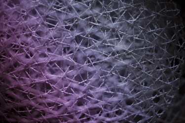 Similar image 11818864