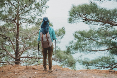 Similar image 11803773