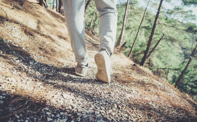 Similar image 11803787