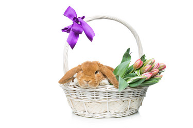 Similar image 11802562