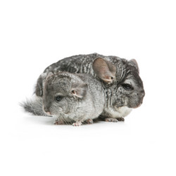 Similar image 11802602