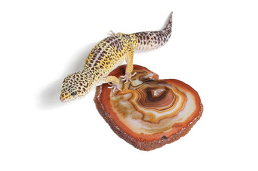 Similar image 11802625