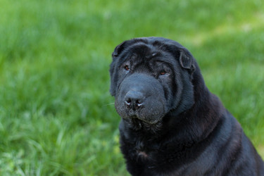 Similar image 11802564