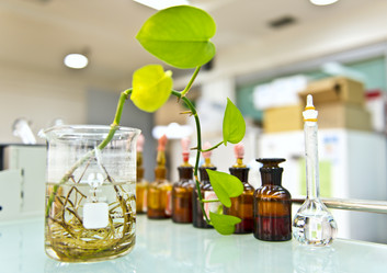 Similar image 11795191