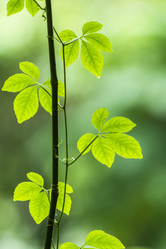 Similar image 11795291