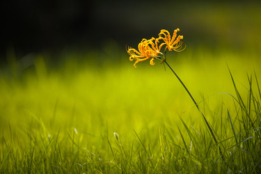 Similar image 11795326