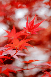 Similar image 11795425