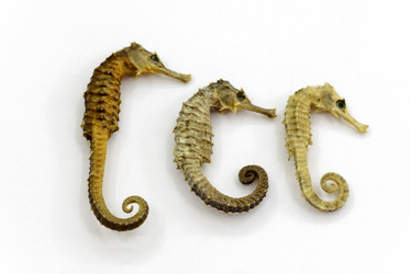 Similar image 11795949