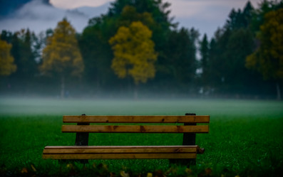 Similar image 11796069